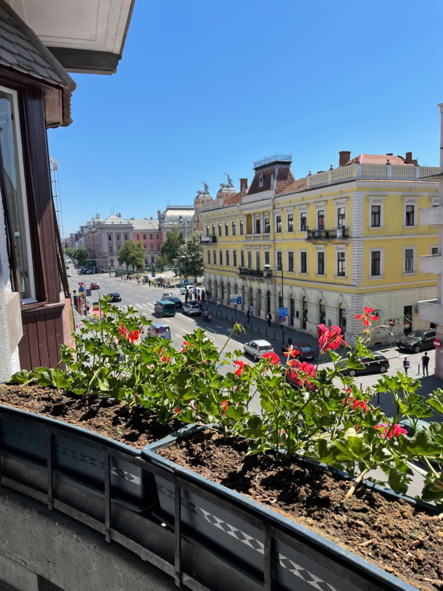 Littleparis Appartement Cluj-Napoca Buitenkant foto